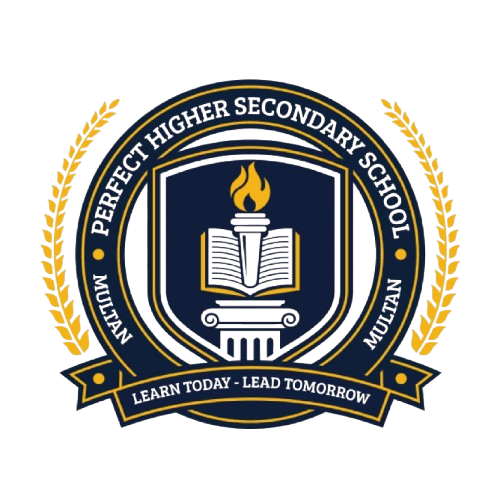 PERFECT HIGHER SECONDARY SCHOOL